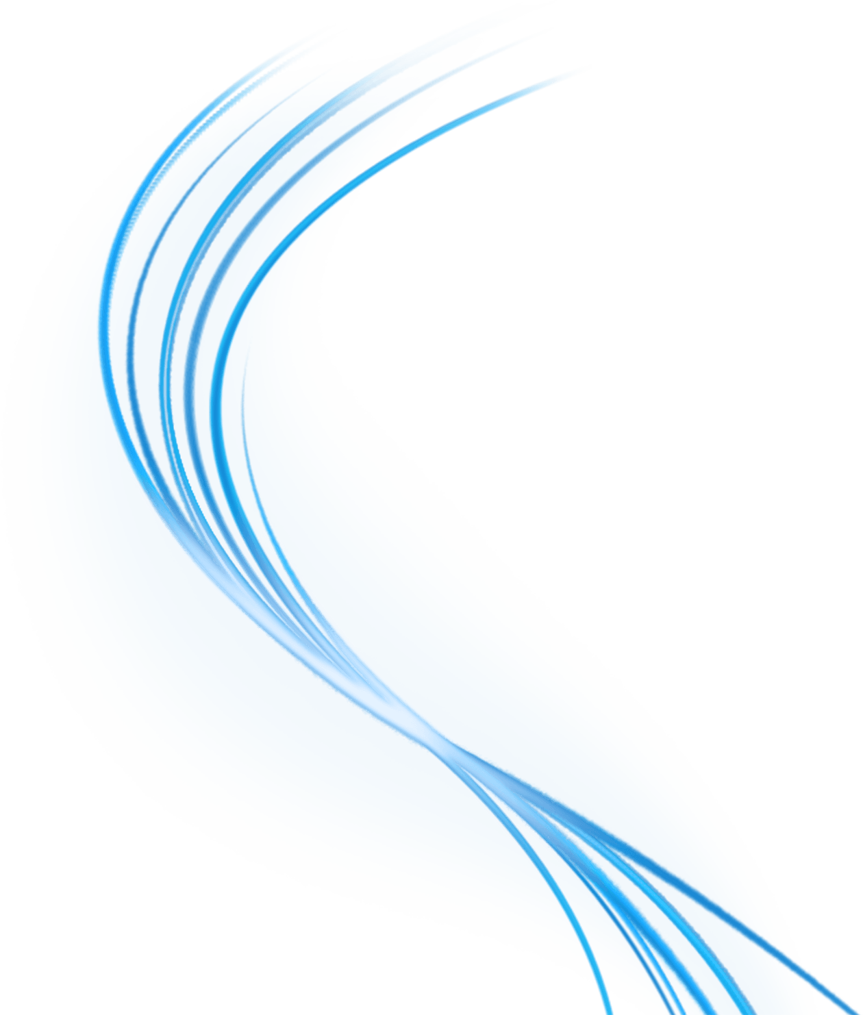 vector